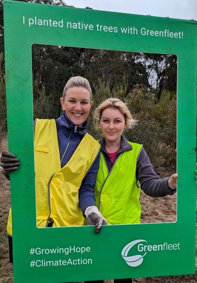 Staff tree planting